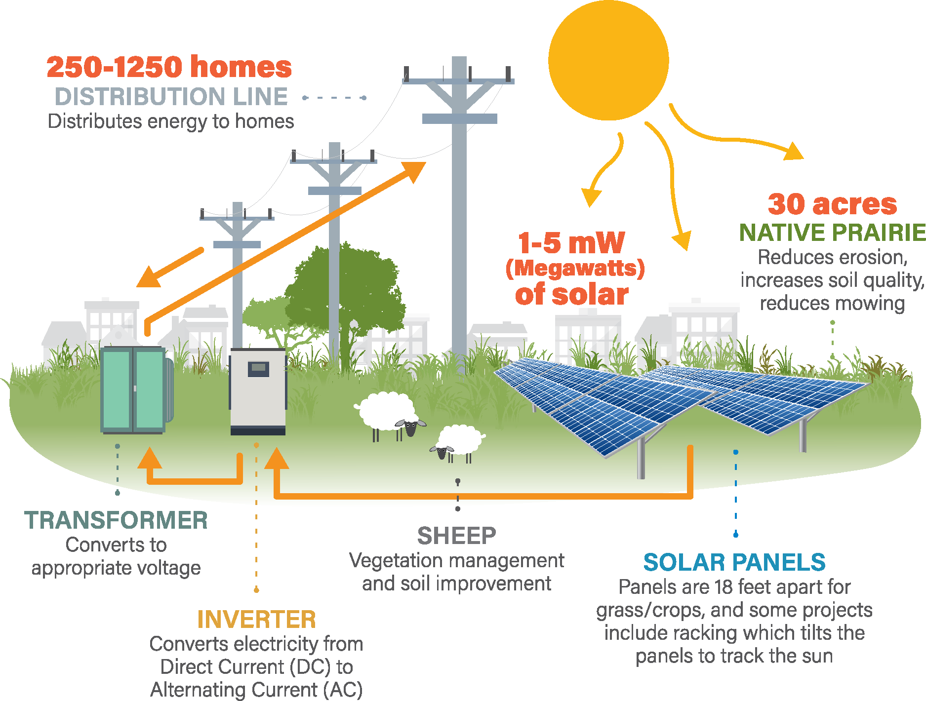 Solar Farm Infographic
