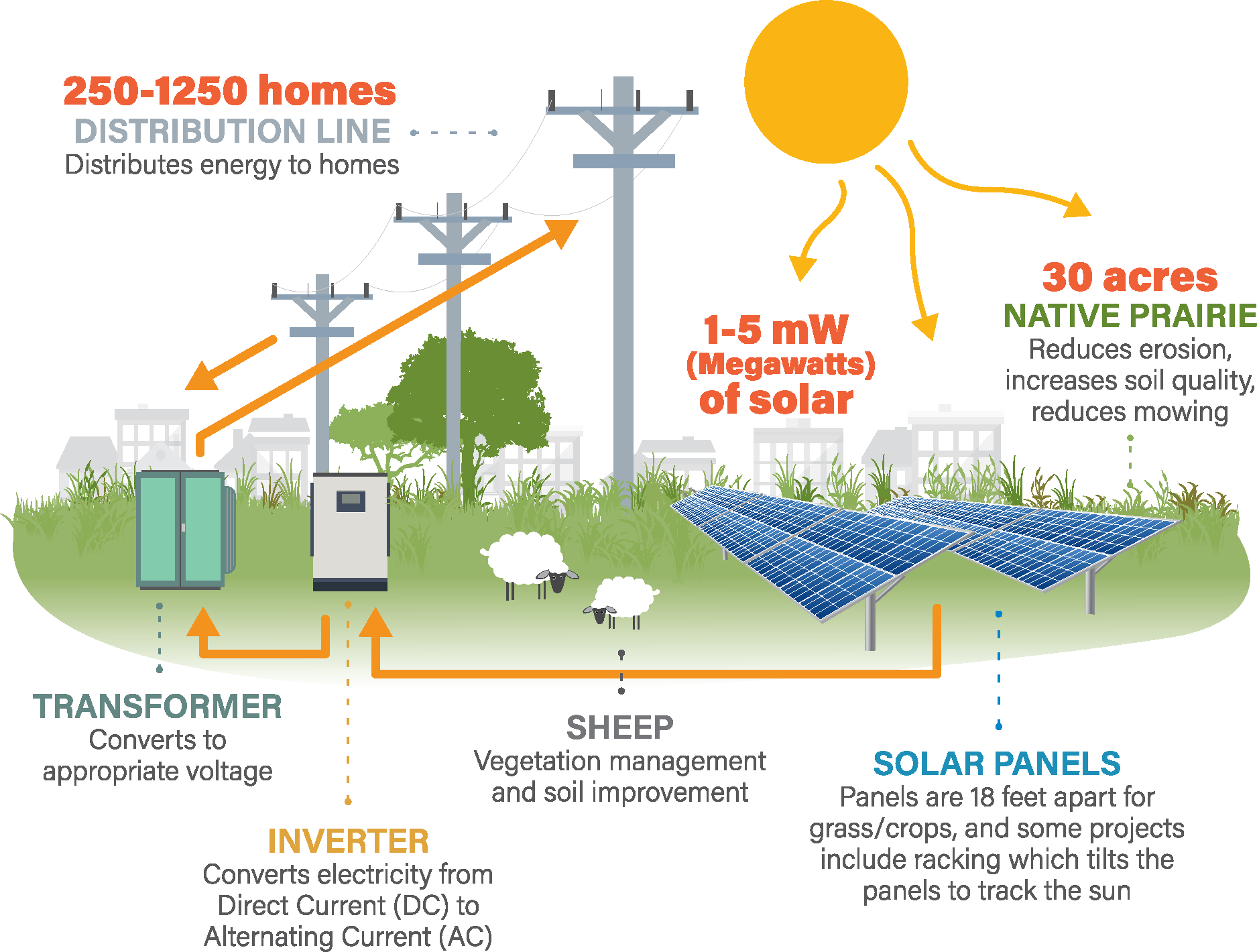 Solar Farm Life Cycle