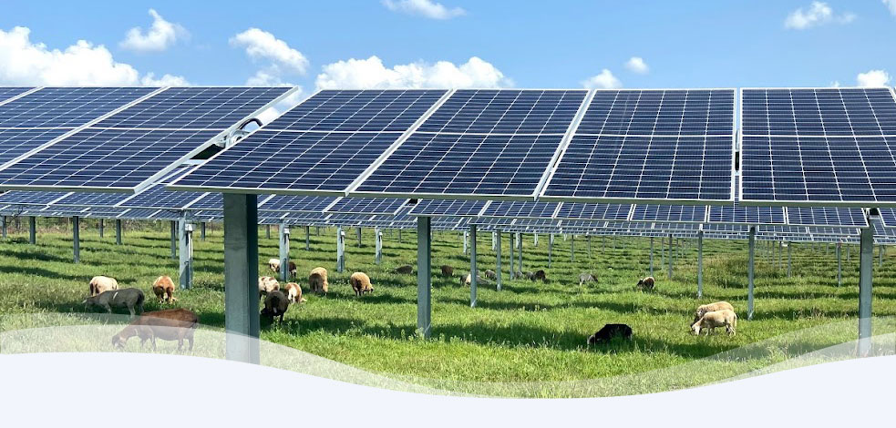 solar panel in a field